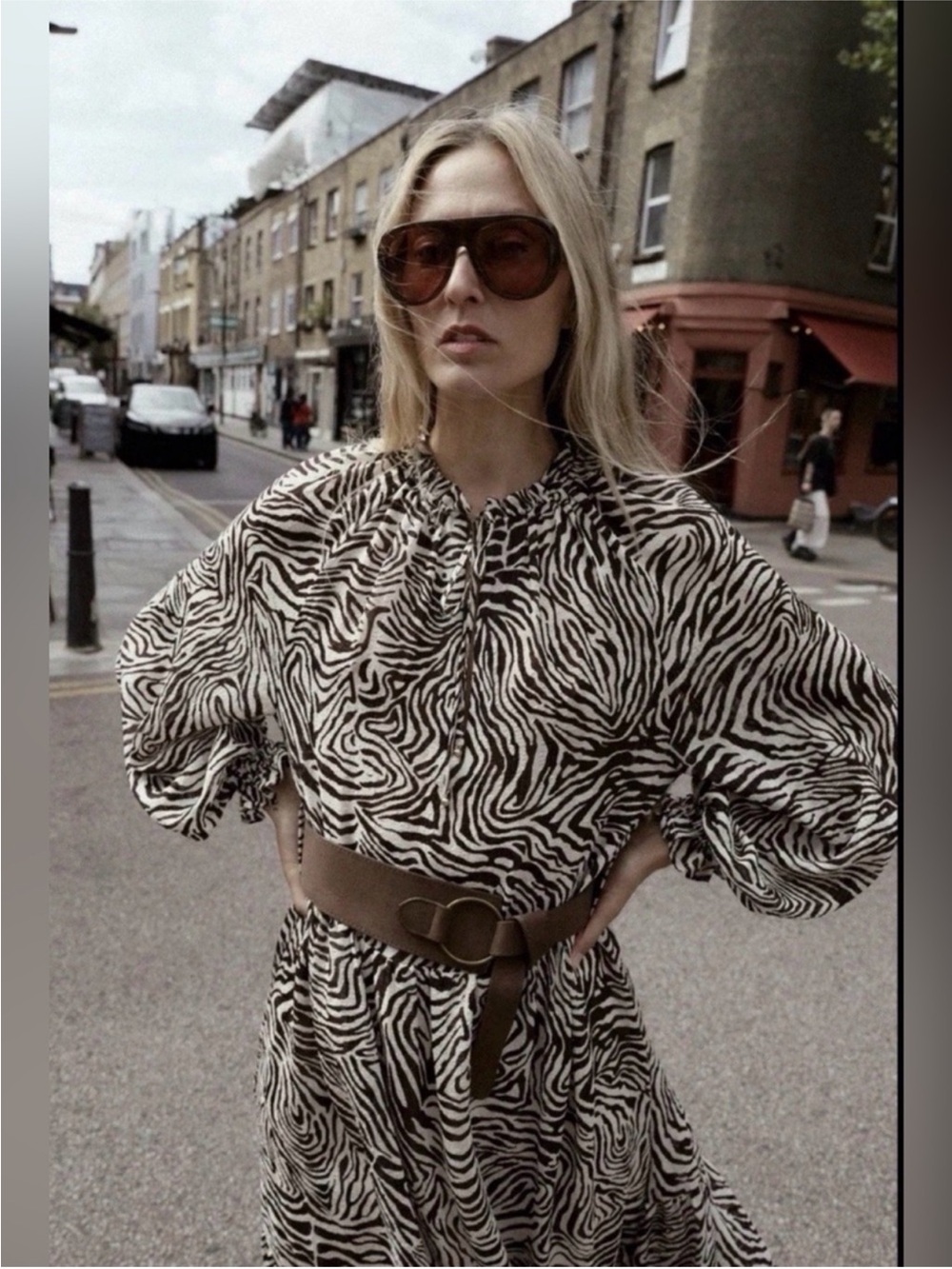 Zara Zebra Animal Print Belted Midi Dress L NWT - Picture 5 of 11